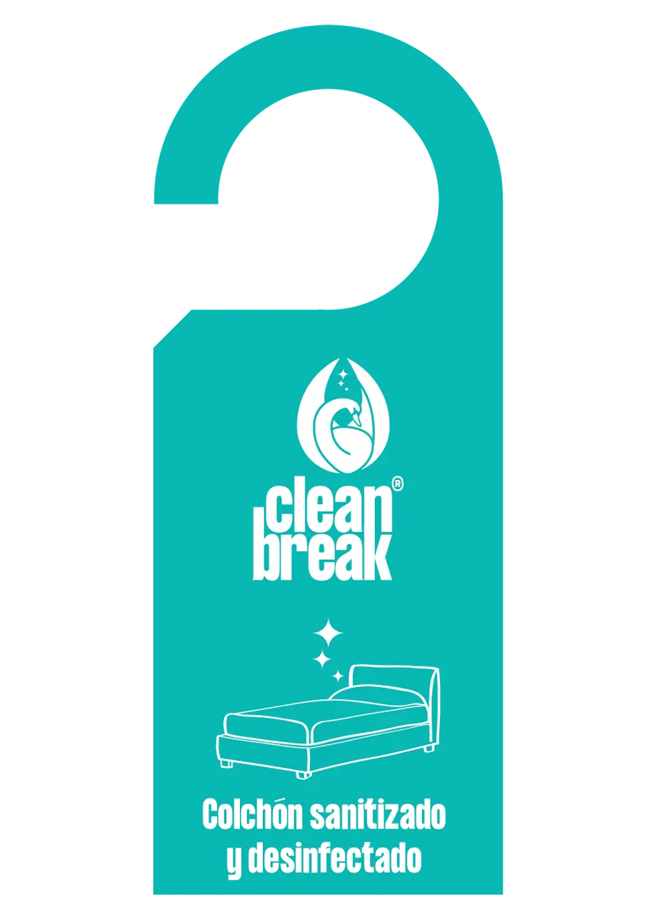 Diseño de Marca Clean break